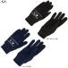 * почтовая доставка соответствует товар *OAKLEY( Oacley )Essential Warm Glove флис перчатка (FOS901847) бег смартфон соответствует перчатки общий 
