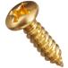 SCUD pick guard screw, millimeter size,12P Gold TS-01GH