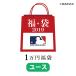 ご予約 MLB 2019 福袋 1万(Youth)