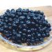  Niigata префектура производство рефрижератор aronia плоды 250g×3 Berry вид. король Anne to цианин Berry 