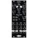 Noise Engineering/Yester Versio Black[. приобретенный товар ]