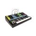 Moog/Grandmother[. приобретенный товар ][ срок поставки нерешительный ]