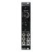 Bastl Instruments/CINNAMON Black Panel