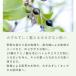�n�g���M�G�L�X�^30ml[�v���{�g����] ���Y�� �A���� �}���f�C���[���I���W�i�� ���r�� ���ϐ� ���[�V���� ���� �֘A�摜2