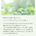 �V�J�G�L�X(�c�{�N�T)�^30ml 100%�V�R ���Y�� �A���� CICA �ێ� ���r�� �j�L�r ���ϐ� ���e ���t �Z���� ���e�t ���� �֘A�摜2