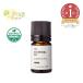chu мехи * Absolute * органический |2ml( иметь машина культивирование *Organic) 100% чистый натуральный растения без добавок . масло . покупка 