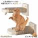  кошка клетка для подножка лестница 2 шт. комплект установка простой кошка для подножка из дерева подножка коготь .. лен . наматывать лен шнур имеется предотвращение скольжения есть .. кошка для вспомогательная подножка .