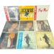  Nagabuchi Tsuyoshi LP запись 9 шт. комплект с поясом оби содержит LICENSE Bye Bye LIVE др. продажа комплектом 