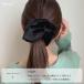 �{�����[���x���A�V���V���E�p�[���x���A�r�b�O�V���V�� �֘A�摜2