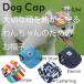  dog hat pet cap good-looking .. cord cat cap papi- small size dog . middle . measures UV cut day except stylish present 