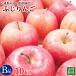 Aomori префектура производство . часть san. специальный культивирование .. яблоко B товар (. для бытового использования ) 10kg[ бесплатная доставка ]. пестициды культивирование (50%.) Neo Nico свободный 