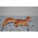 ��̏��� ���X�� (��)�I�[�i�����g���� Squirrel (S) �֘A�摜1