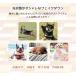 �y�b�g �� �t�F�C�N�_�E�� �� ���^ �����^ ������ �H�~ �g�b�v�X �A�E�^�[ �W���P�b�g �R�[�g �g���� ������ �֘A�摜2