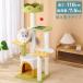  башня для кошки кошка tree домашнее животное товары коготь .. игрушка сборка инструмент . кошка кошка симпатичный много голова .. движение нехватка аннулирование -тактный отсутствует аннулирование 
