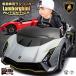  игрушка-"самокат" пассажирский радиоконтроллер Lamborghini o- тонн TIKKA Roadster Lamborghini AUTENTICA 2WD 12V7Ah задние колеса подвеска электрический радиоконтроллер пассажирский машина с радиоуправлением 