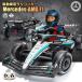  игрушка-"самокат" пассажирский радиоконтроллер Mercedes AMGpe Toro nasF1 BENZ Mercedes AMG Petronas F1 12V4.5Ah электрический машина с радиоуправлением электрический игрушка-"самокат" пассажирский машина с радиоуправлением 