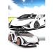 ��p�ߋ� ��p���W�R�� �����{���M�[�j�iLamborghini�jSIAN �V�A�� 2WD 12V4.5Ah 4�փT�X ��p���W�R���J�[ �d�����W�R�� ��p���W�R���J�[ �֘A�摜4