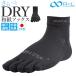 R�~L �A�[���G�� �\�b�N�X 5�{�w JPS5001 �ʔ� 5�{�w�\�b�N�X �ܖ{�w�\�b�N�X �����j���O�\�b�N�X �����Y�\�b�N�X ���f�B�|�X�\�b�N�X �C�� ������