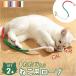  кошка игрушка .. игрушка трос 2 шт. комплект почтовый заказ шнурок шнур трос игрушка .. игрушка omo коричневый игрушка кошка для игрушка кошка. игрушка 