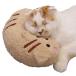 kya tea man (CattyMan)... . cat pillow ..nyan