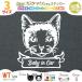  cat sticker regular surface face WT name inserting Cat in Car house . cat . - 