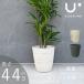 �A�ؔ� 14�� �y�� �������� �� �u���b�N �z���C�g classy pot �N���b�V�[�|�b�g �A���e�B�[�N ���E���h ����44cm