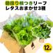  leaf lettuce 12 пакет утро .. случайный 3 вида комплект ваш заказ распродажа сельское хозяйство место прямая поставка производство прямой возможно еда часть примерно 1kg набор прохладный рейс . доставка овощи комплект пик 