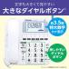 Panasonic �p�i�\�j�b�N RU�ERU�ERU ����� �d�b�@�@���MLED���� VE-GE19-W(VE-GE19DL-W�e�@�̂݁A�q�@�Ȃ�) �f�W�^������^�@���f�d�b�΍����� �֘A�摜1