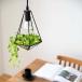  подвесной светильник 1 лампа освещение LED осветительное оборудование непрямое освещение потолочный светильник террариум туалет внутри вход модный living обеденный je Rico искусственная зелень комплект 