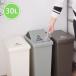  мусорная корзина 30L минут другой скользящий крышка сделано в Японии крышка имеется счетчик кухня простой тонкий модный american Vintage интерьер мусорка скользящий бледный 