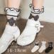  девочка носки носки ребенок детский короткий Kids 16-21cm M L свадьба формальный гонки arisana Short носки почтовая доставка возможно 