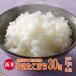  Akitakomachi . peace 5 year Akita prefecture production brown rice 30kg(. rice after 27kg)