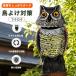 ���悯 �O�b�Y �x�����_ �� �� �� ���� ��U�� �t�N���E ���O �J���X�悯 ���悯 �΍� ����
