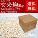 [ free shipping ] business use brown rice . Niigata prefecture production Koshihikari .. attaching brown rice use 5kg cardboard entering raw .* freezing 