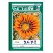  Showa Note учеба .japonika san ..17 форель B5 размер 001020