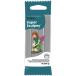 Sculpey �|���t�H�[�� �O���C�X�J���s�[ 454g
