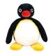  солнечный * Arrow Pingu M K7719