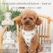 moncherimonsheli собака Harness симпатичный модный популярный бренд игрушка пудель чихуахуа маленький размер собака средний собака 