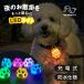  собака прогулка LED свет очарование .... сверкающий лапа свет . прогулка свет 7 цвет Rainbow мигает 3 режим USB заряжающийся водонепроницаемый IPX4 светится ошейник безопасность one Chan подарок 