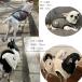 ���� �~ ���p�x�X�g ���N�� ��100�� ������h�J �����|�C���g�h�J ���{�� �x�X�g �h�b�O�E�F�A �Ód�C���N���ɂ����f�� ���ɂ₳���� �q���� S M L 1219 �M�t�g �֘A�摜1