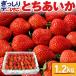  клубника . клубника ..... плотно ..1.2kg x 1 коробка |T Chan клубника Tochigi префектура производство [BK]1104-70005610