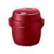 쥳 ѥ 饤å RCR-1 recolte Compact Rice Cooker (å)