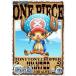 DVD/å/ONE PIECE ԡ 15TH  PIECE.10