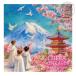 CD/libela/POSTCARDS JAPAN Edition ~Furusato~ (.. перевод есть ) (. день память запись )