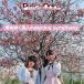 ڼʡCD/Pirka_Dolce/κ餯ƻ/underdog symphony