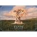 BD/. склон 46/5th YEAR ANNIVERSARY LIVE at MUFG STADIUM(Blu-ray) ( обычный запись )[P выше 
