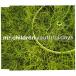 CD/Mr.Children/youthful days