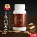  winter insect summer . supplement supplement health food Japan production sinia exemption . support . power. maintenance .... power mushrooms monolith insect . Capsule free shipping 