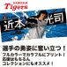  Hanshin Tigers товары лампочка . одобрение NEW! * игрок фото полотенце близко книга@ свет .* новинка! Professional Baseball 