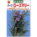 ハーブ ローズマリー アタリヤ農園 313156